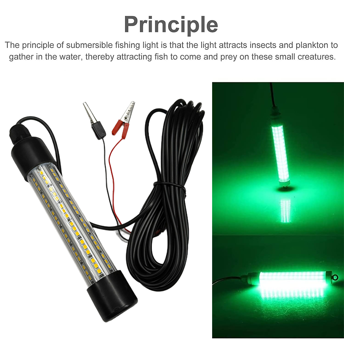 LED lámpara de pesca submarina - Pond Light Submersible reseña y precio